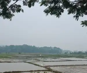 Kabut Asap Karhutla Riau Mulai Selimuti Wilayah Abdya