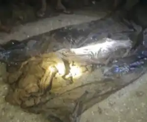 Diduga Masih Ada Kerangka Manusia Dibelakang Gudang Bulog Pasie Raja