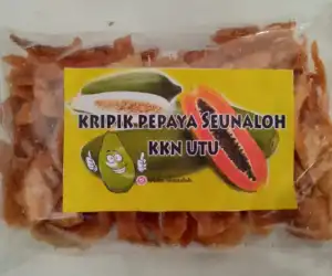 Mahasiswa UTU dan Warga Seunaloh Buat Keripik Dari Buah Pepaya