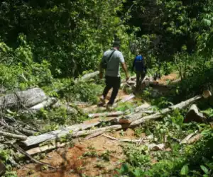 Warga Abdya Yang Dilaporkan Hilang di Gunung Ditemukan Selamat