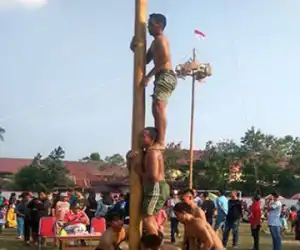Nah, Ini Baru..! Dinilai Warisan Kolonial, Langsa Larang Lomba Panjat Pinang