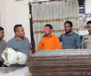 Terlibat Pencurian Seorang PNS di Tangkap Polisi
