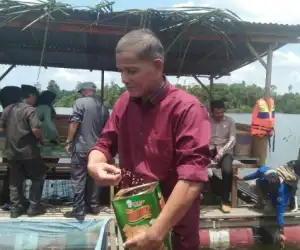 DKP Nagan Raya Kembali Salurkan Bantuan Benih Ikan Nila
