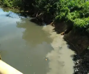 Bila Tetap Membuang Limbah ke Sungai, Pemkab Akan Tindak PT BSP