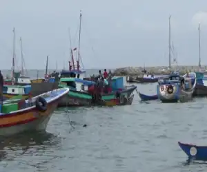 Cuaca Ektrim Sebabkan Harga Ikan Segar di Abdya Melonjak