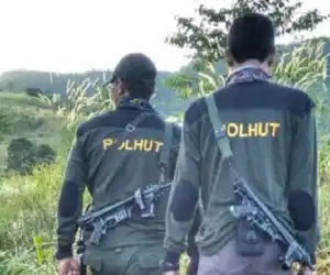 "Warning" Bagi Perambah Hutan, Polisi Kehutanan Mengintai