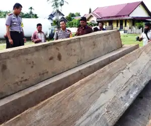 Komplotan Illegal Logging, Dibekuk Tim Polres Aceh Timur