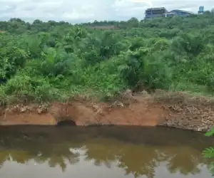 Bau Busuk Diduga Akibat Limbah PKS PT BSP Resahkan Warga