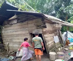 Satu Rumah Warga di Nagan Raya Rusak Tertimpa Pohon