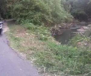 Pohon Bambu Hambat Aliran Sungai Krueng Manggeng