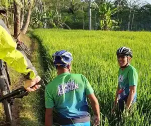 Cawapres Nomor Urut 02 Sandiaga Uno Nyemplung ke Sawah