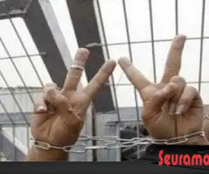 Israel Jadikan Tahanan Palestina Sebagai Kelinci Percobaan