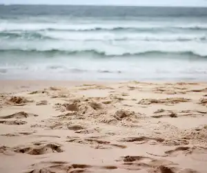 Harus Baca! Pasir Pantai Rupanya berbahan Kontoran Ikan