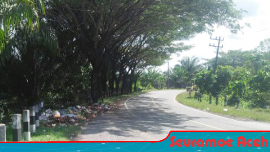 Biasa Dilewati Bupati dan Ketua DPRK Tapi Jalan Itu Banyak Sampah