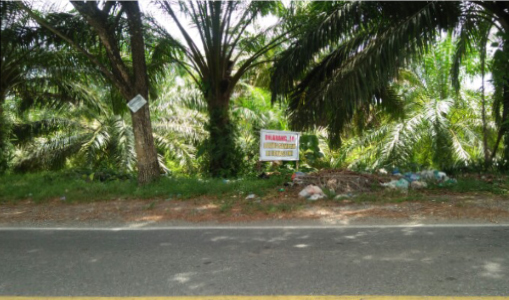 Sampah Menumpuk Dibawah Palang Larangan Membuang Sampah