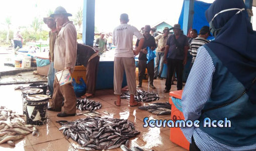 Dampak COVID-19, Ikan Sekeranjang Berisi 30 Kilo, Dijual Rp. 50 Ribu