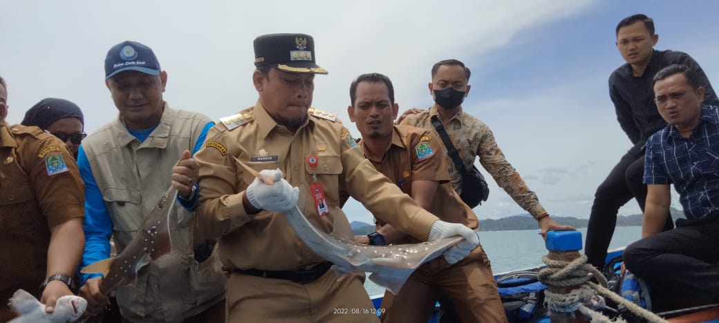 Pj Bupati Aceh Jaya Lepaskan Anakan Hiu dan Pari Di Lhok Rigaih