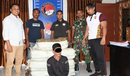 Anggota Koramil 01 Peunaron Gagalkan Peredaran Ganja