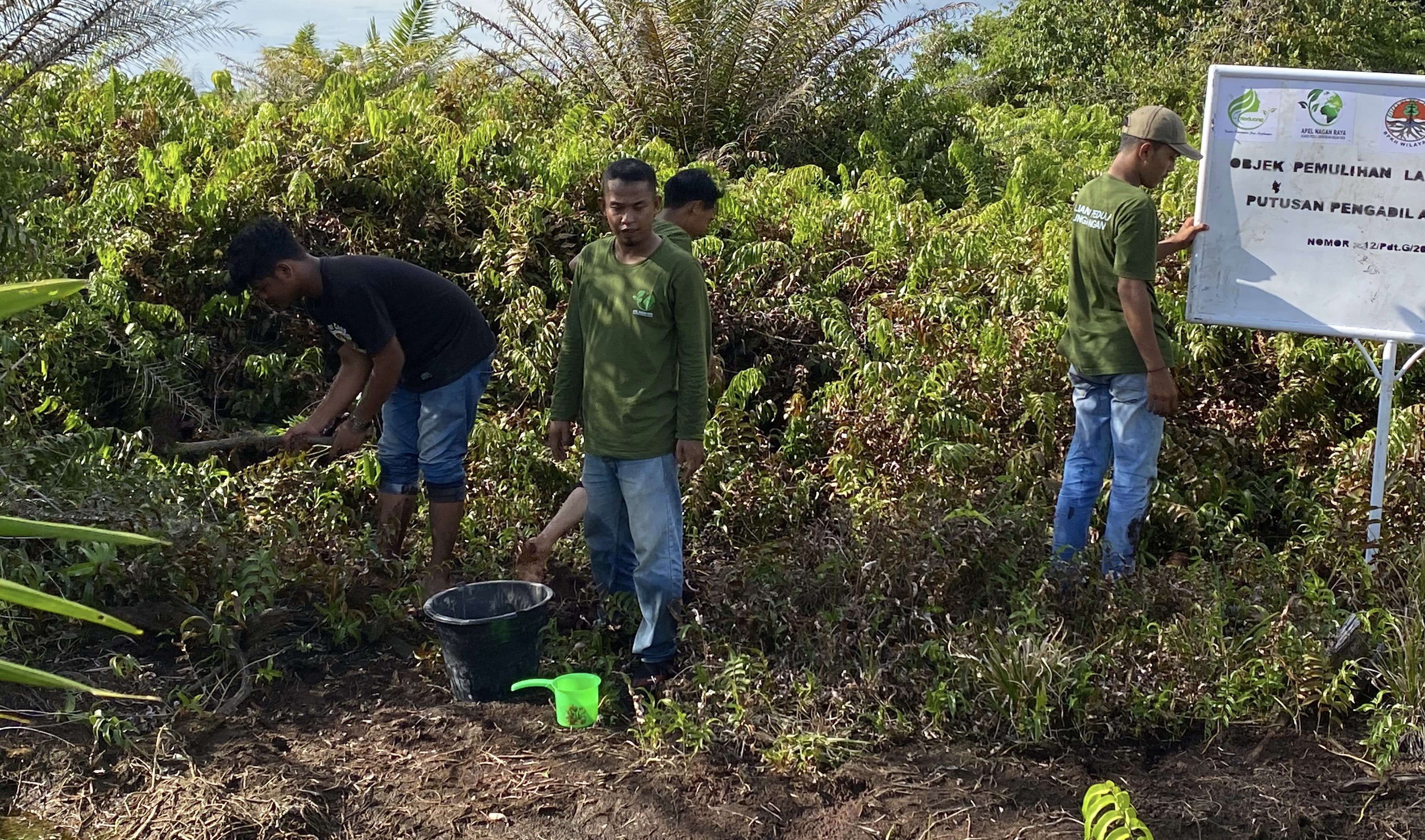 Usai Debat Publik, Apel Green Tantang Paslon Bupati Komit Tangani Rawa Tripa dan Cabut Izin HGU Perusahaan
