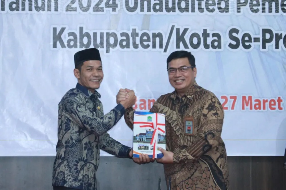 Pemerintah Kabupaten Aceh Jaya serahkan LKPD tahun 2024 ke BPK RI perwakilan Aceh