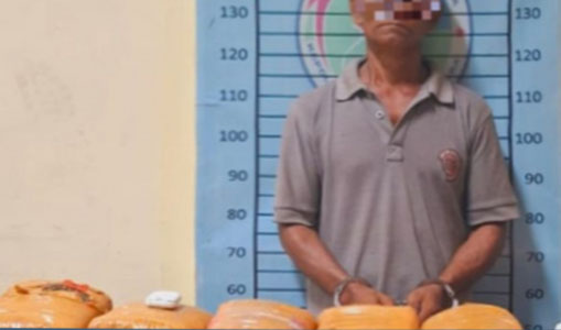 Bawa 9.45 Kg Ganja, Kakek di Aceh Tenggara Diamankan Polisi