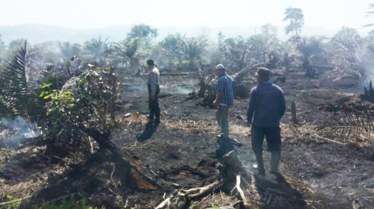 Kapolsek Kuala Batee Tinjau Lokasi Kebakaran Lahan Warga di Abdya