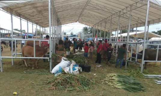 Dirjen dan Plt Gubernur Aceh Dijadwalkan Hadir di Acara Expo Ternak di Abdya